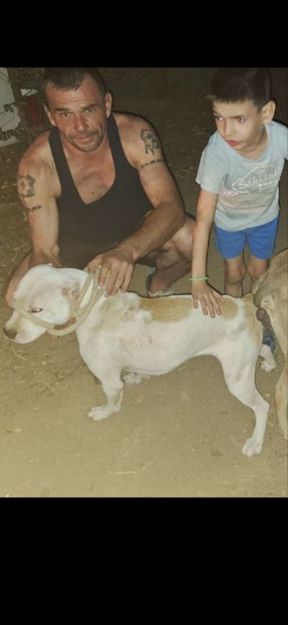 Photo of the dog