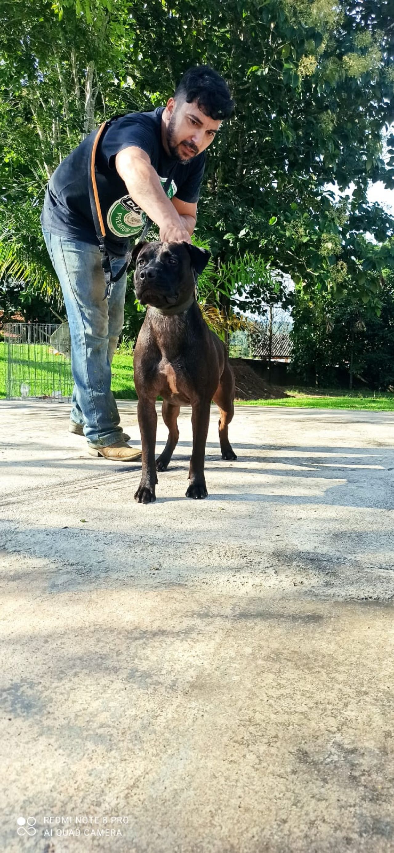 Photo of the dog