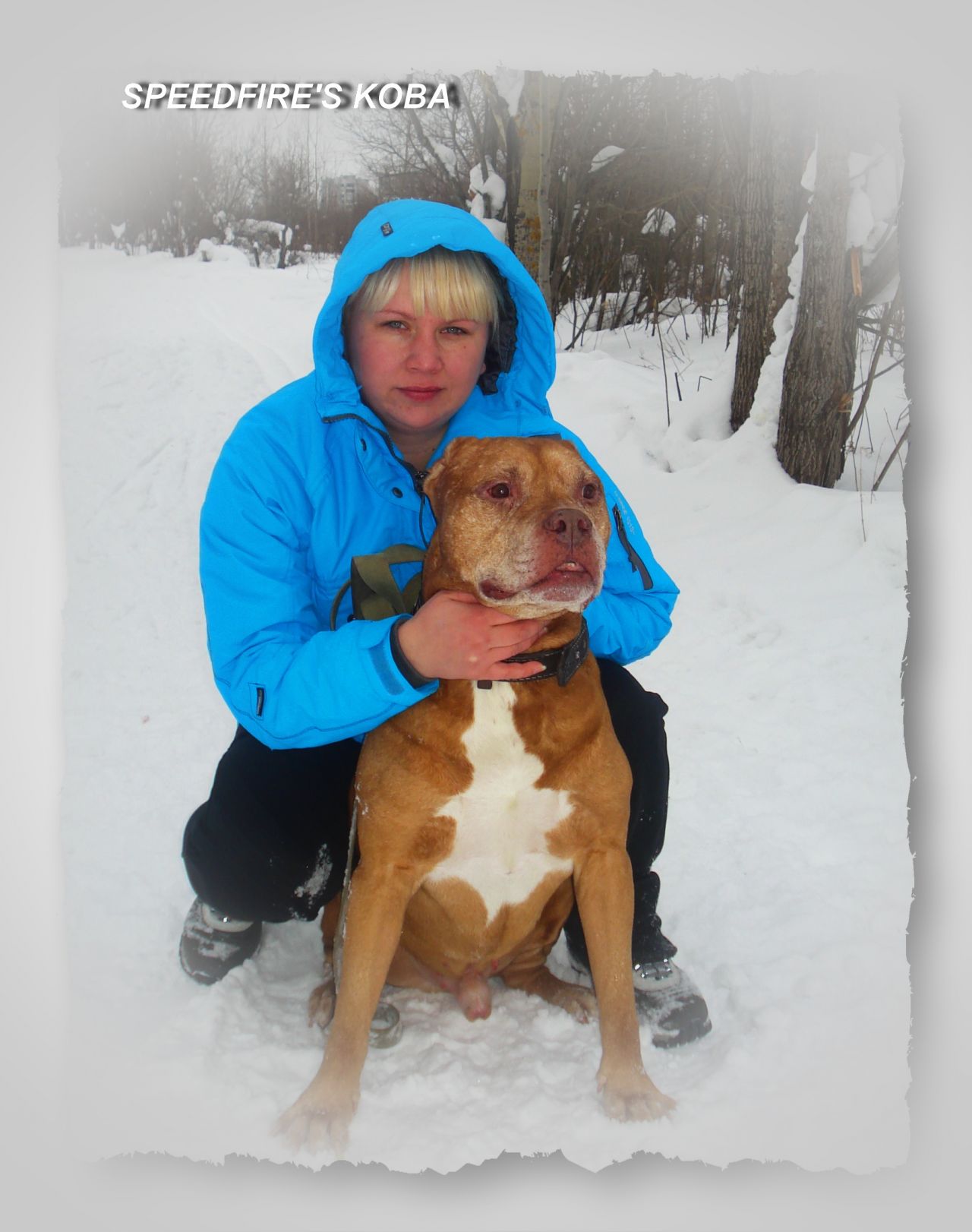 Photo of the dog