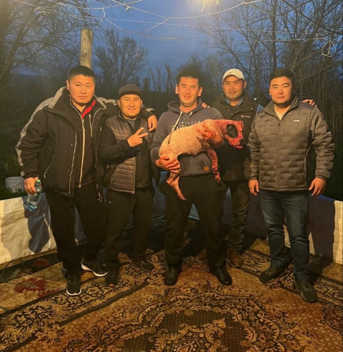 Photo of the dog
