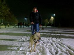 Photo of the dog
