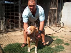 Photo of the dog