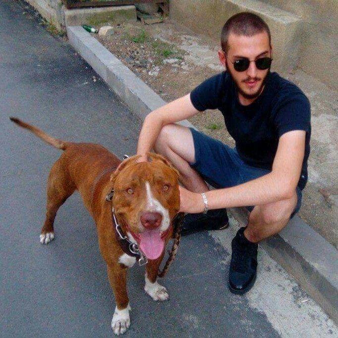 Photo of the dog
