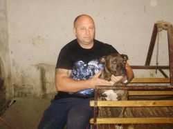 Photo of the dog