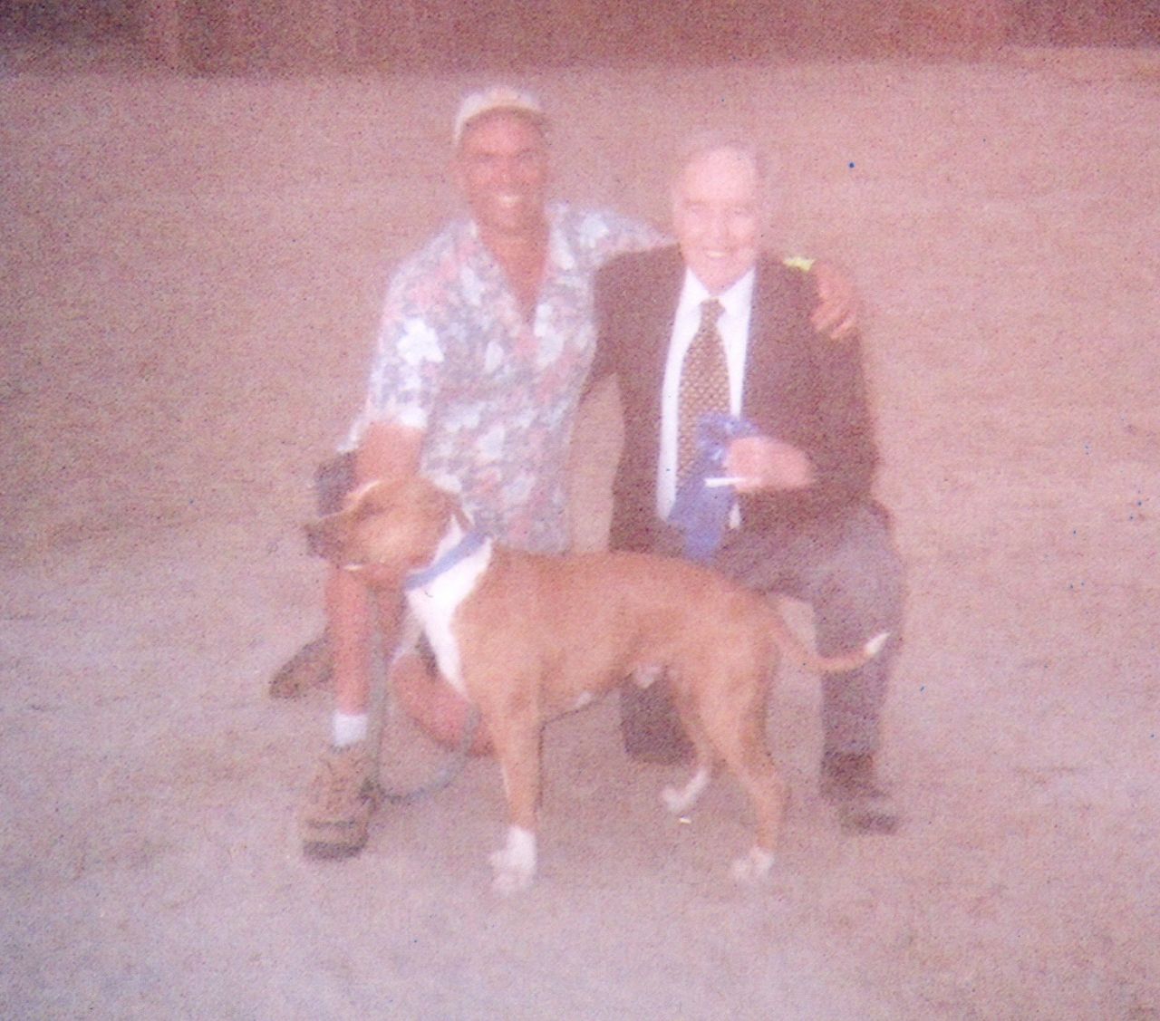 Photo of the dog