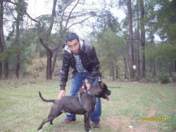 Photo of the dog