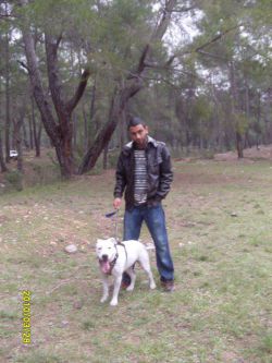 Photo of the dog
