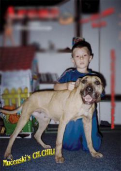 Photo of the dog