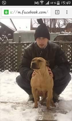 Photo of the dog