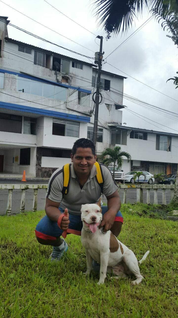 Photo of the dog