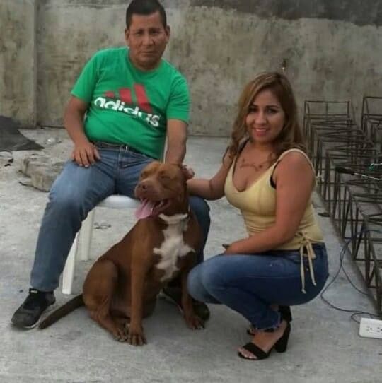 Photo of the dog