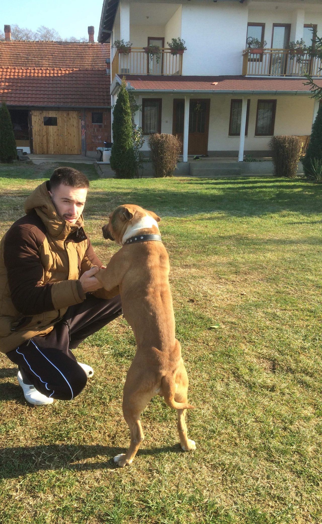 Photo of the dog