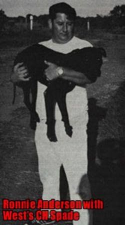 Photo of the dog