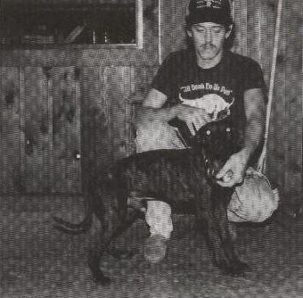 Photo of the dog