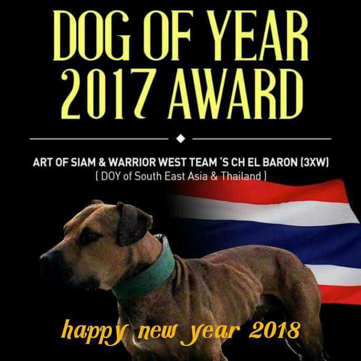 Photo of the dog