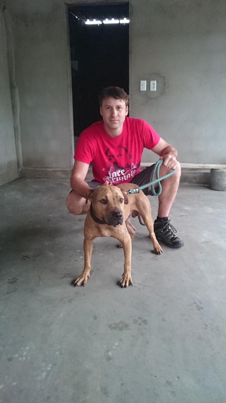 Photo of the dog