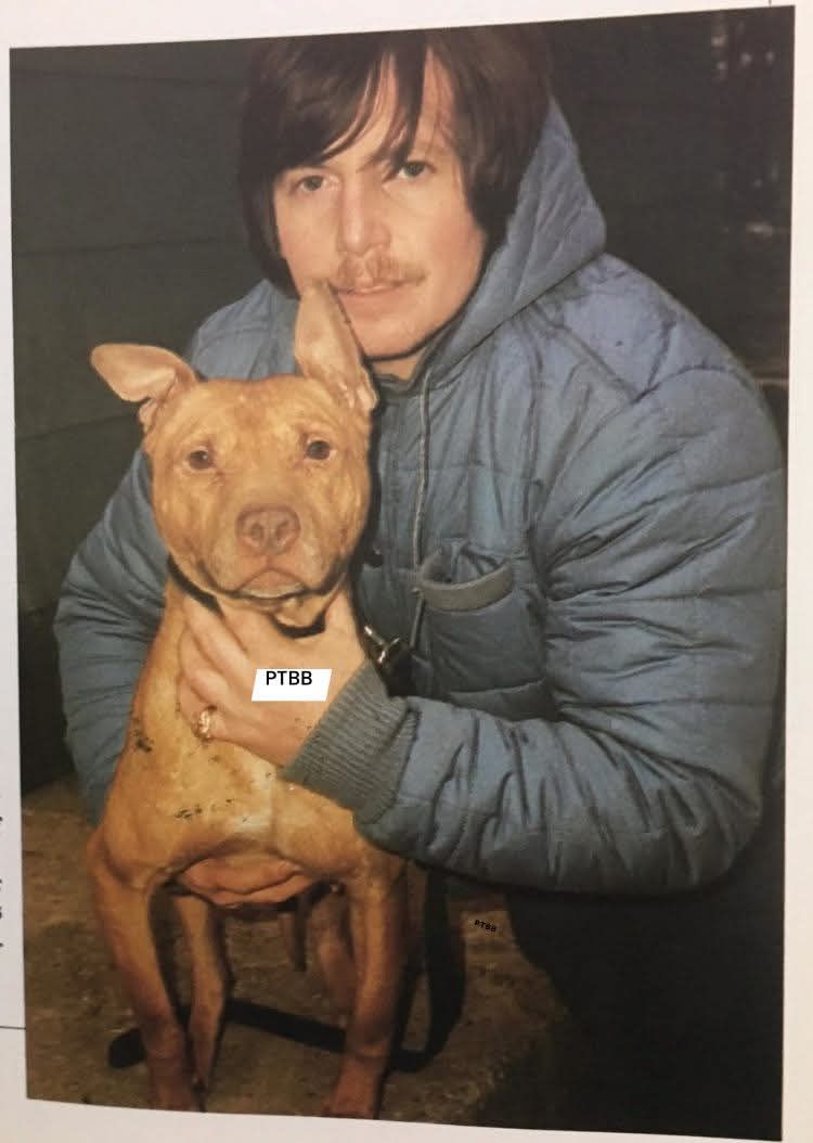 Photo of the dog