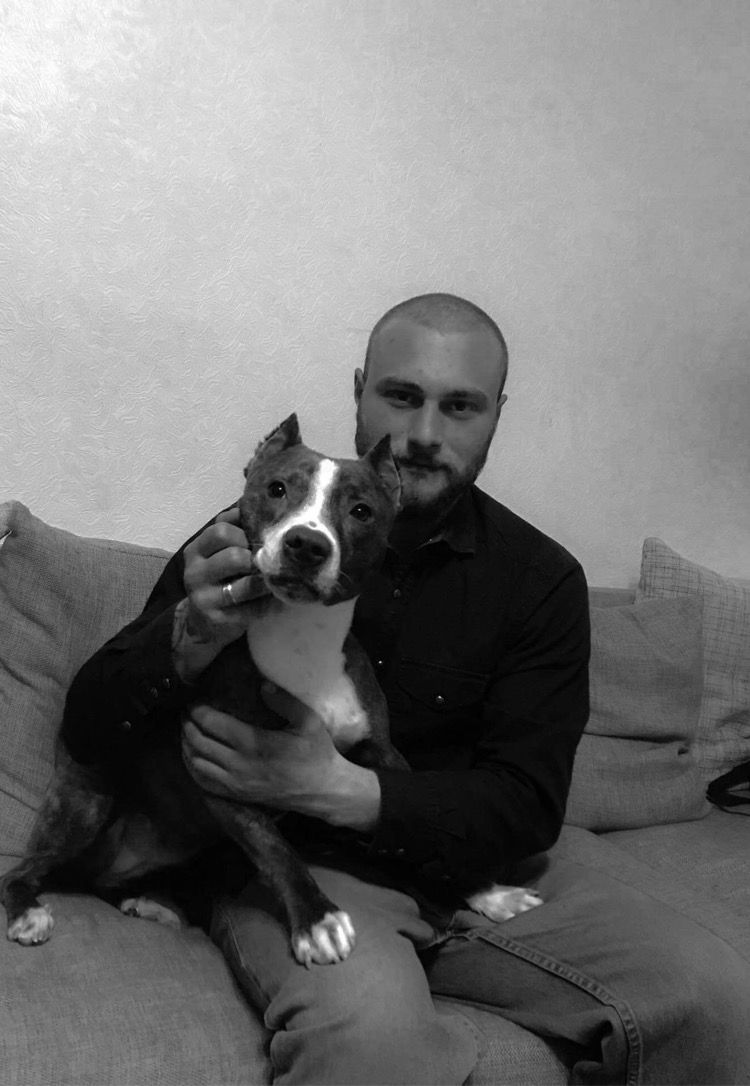 Photo of the dog