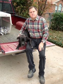 Photo of the dog