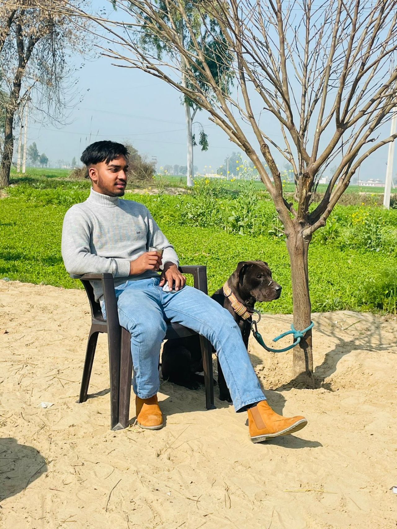 Photo of the dog