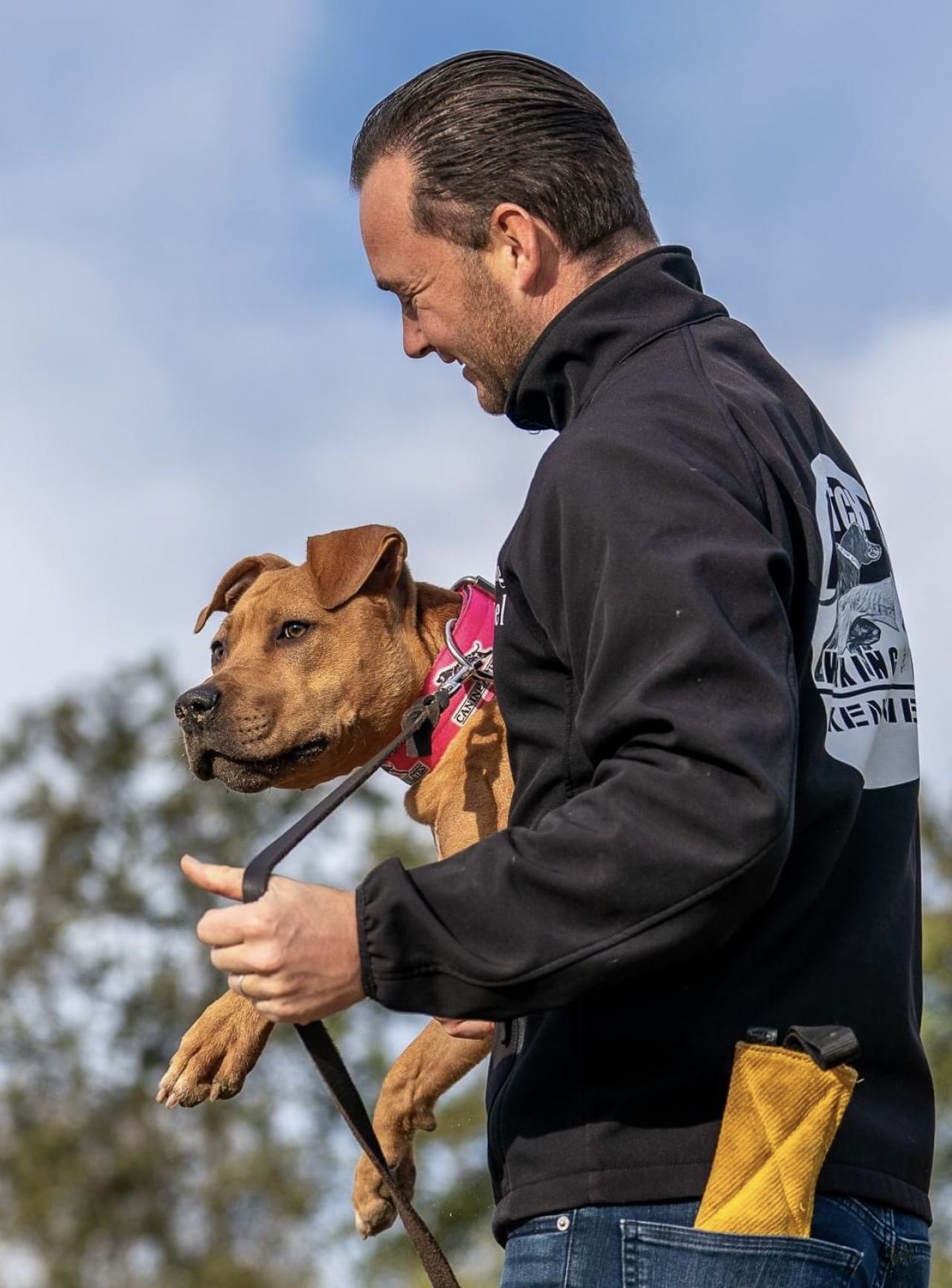 Photo of the dog
