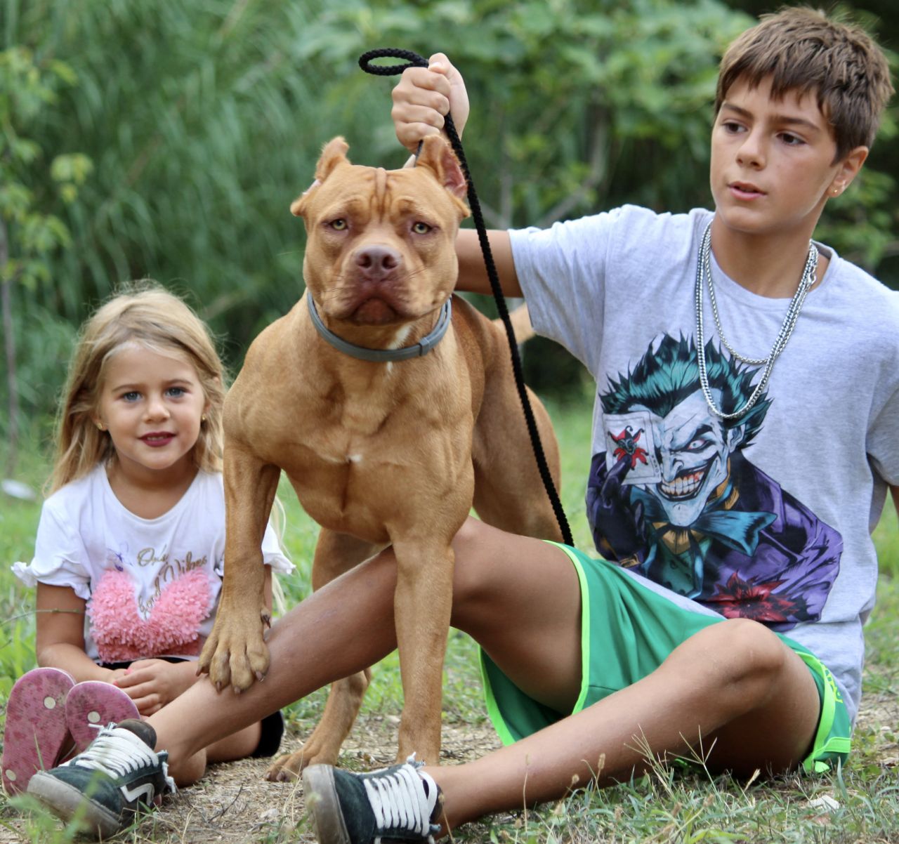 Photo of the dog