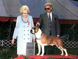 Photo of the dog