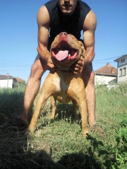 Photo of the dog