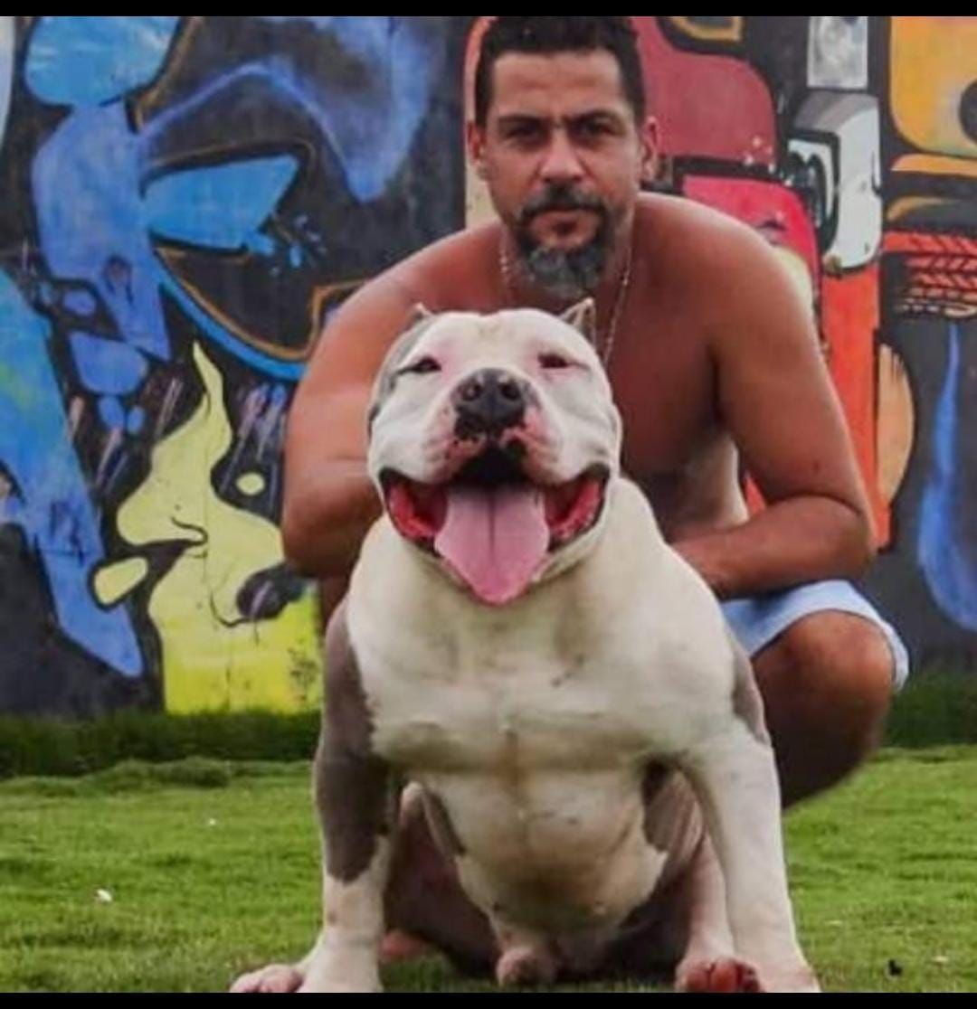 Photo of the dog