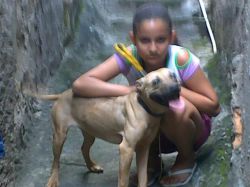 Photo of the dog