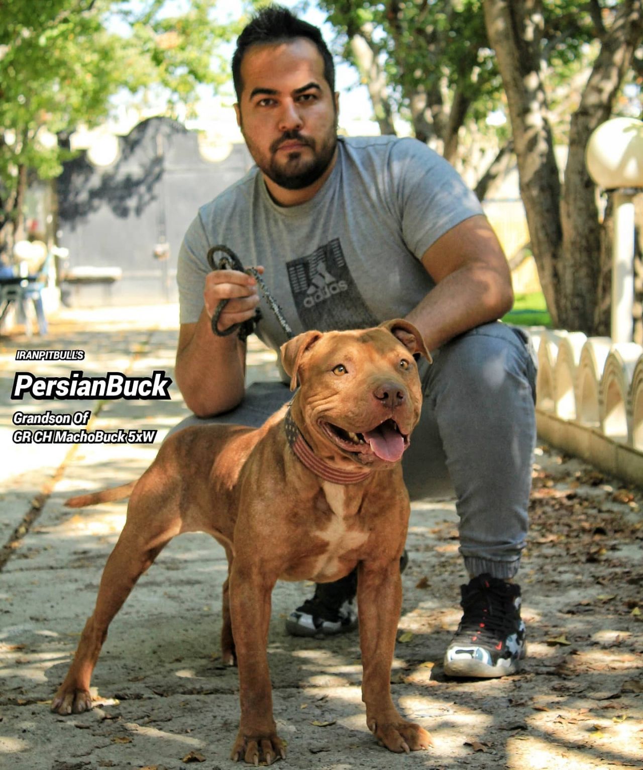 Photo of the dog