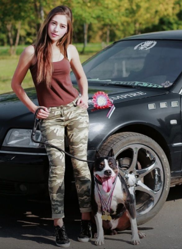 Photo of the dog