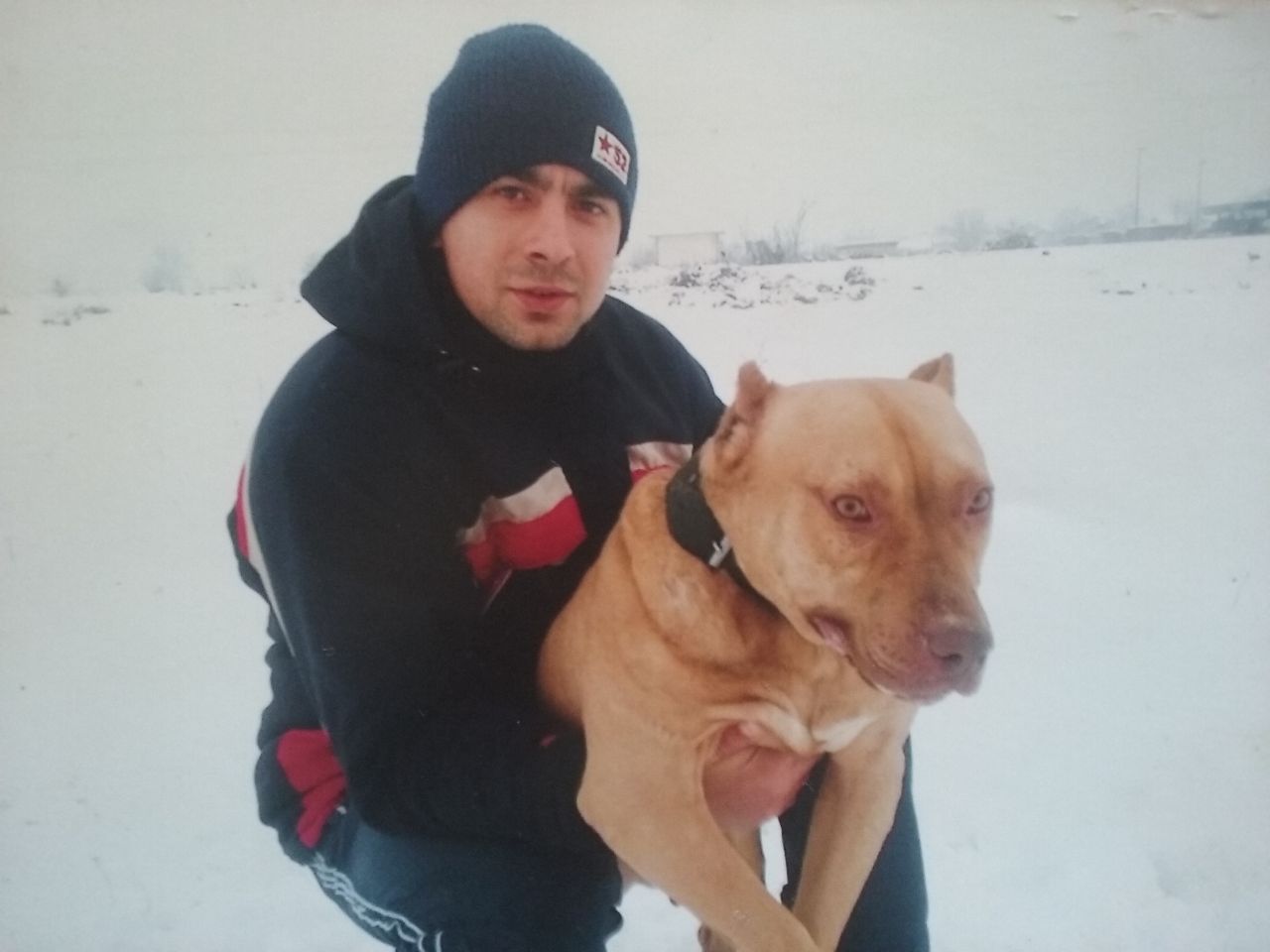 Photo of the dog