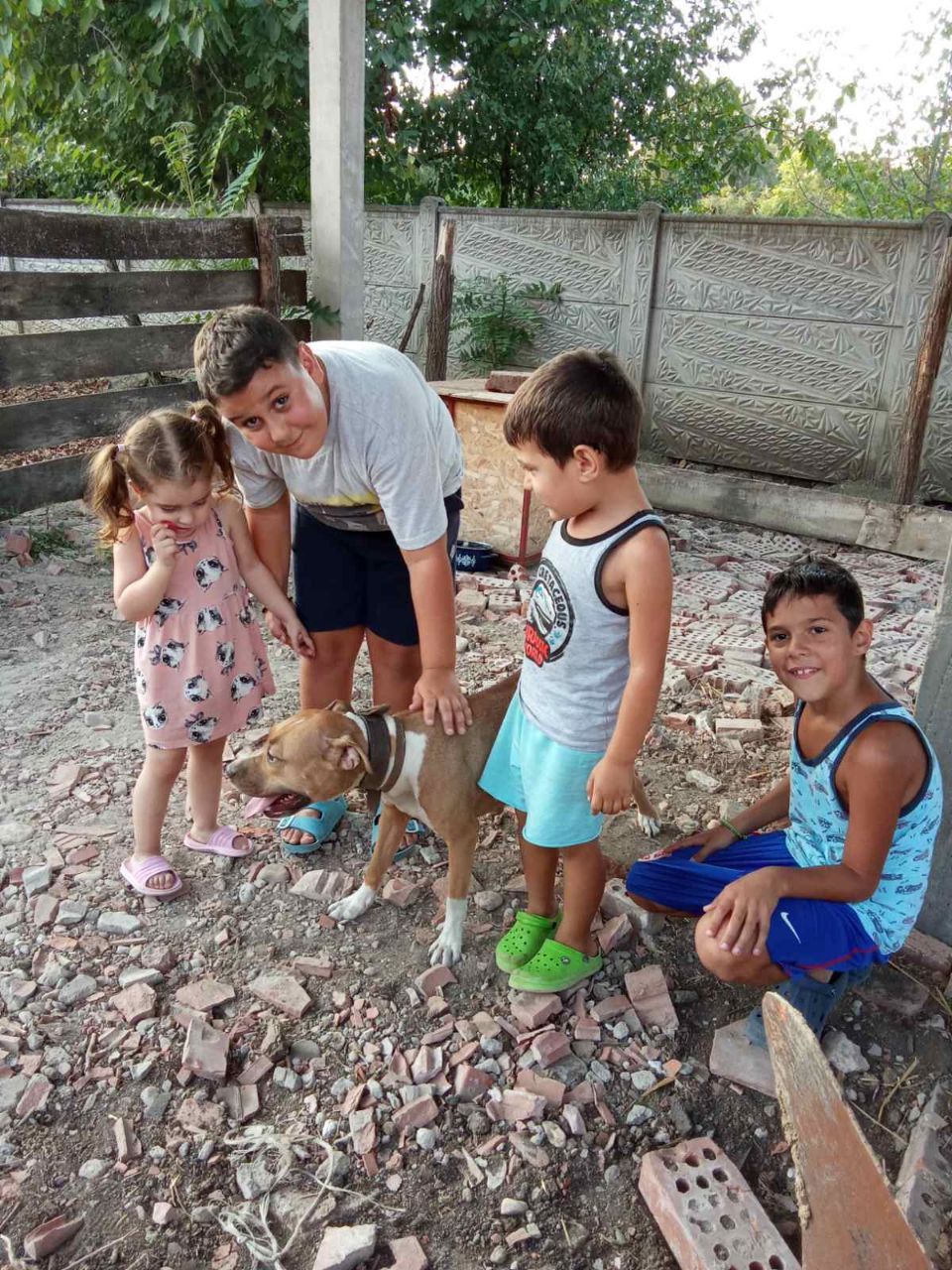 Photo of the dog