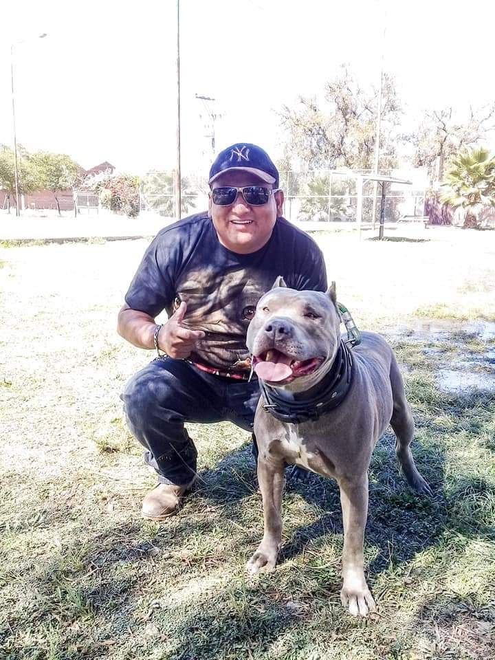 Photo of the dog