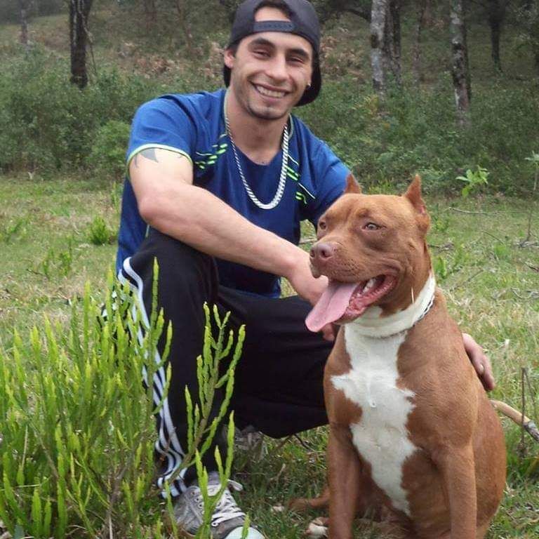 Photo of the dog
