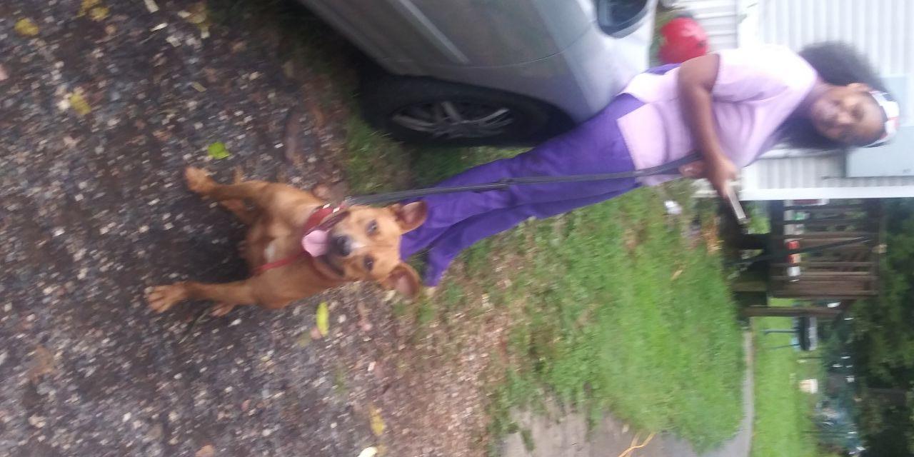Photo of the dog