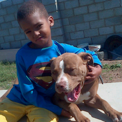 Photo of the dog