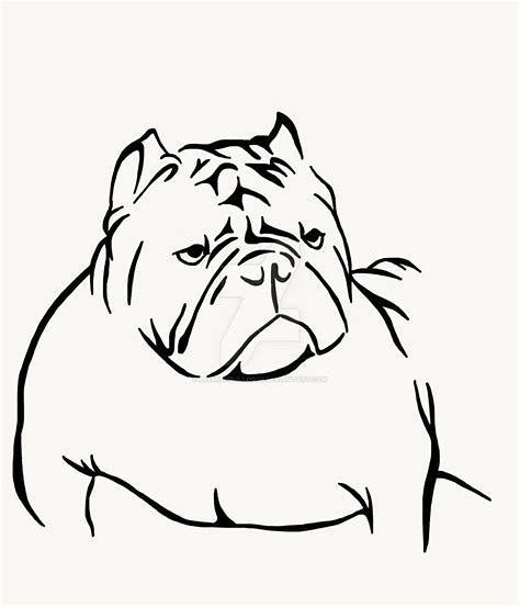 Photo of the dog