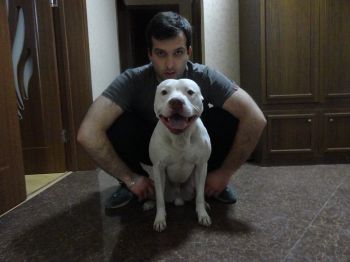 Photo of the dog