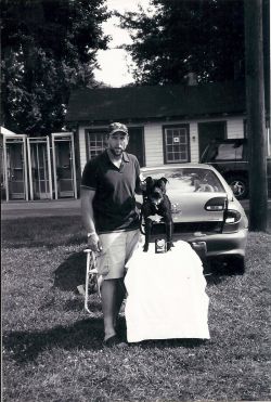 Photo of the dog