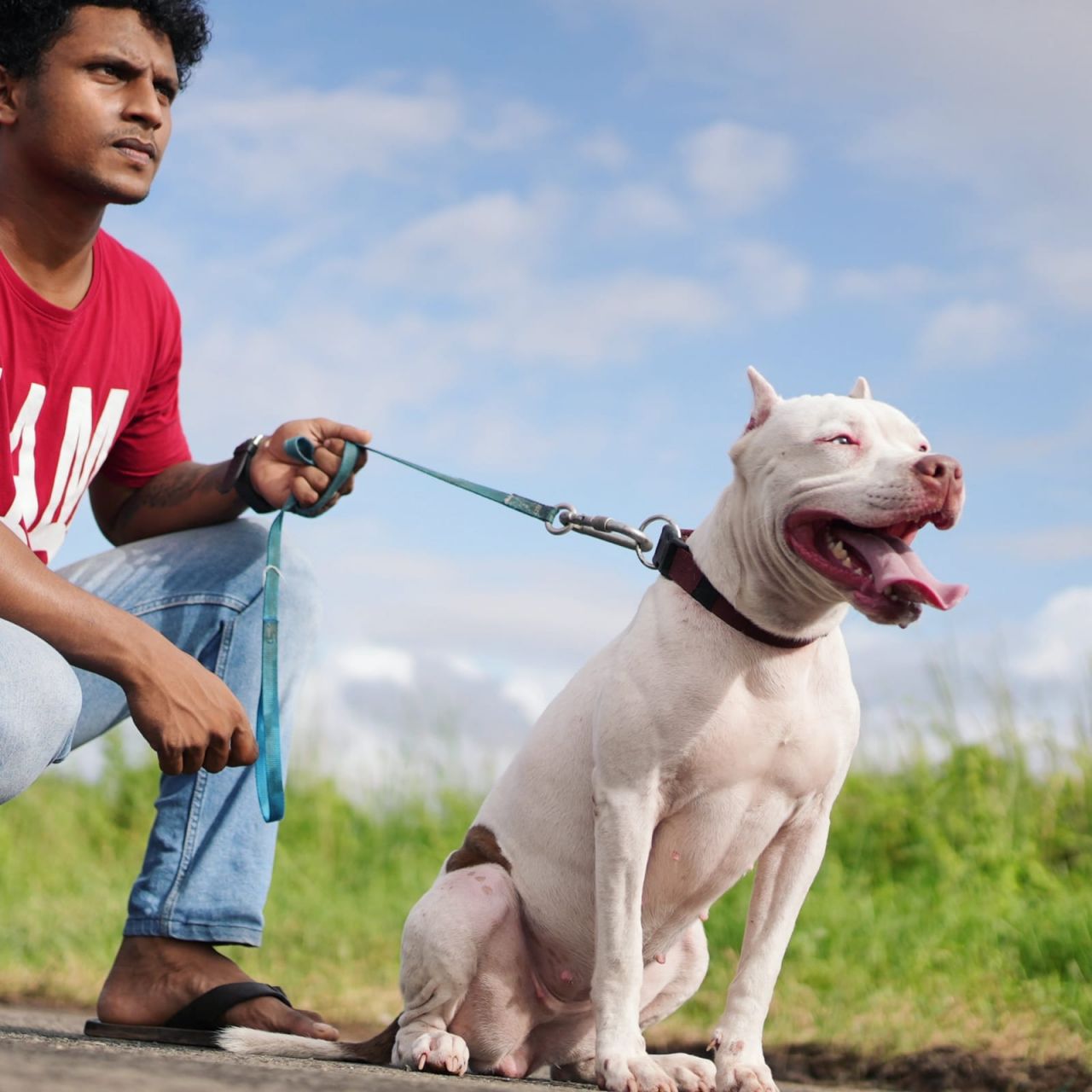 Photo of the dog