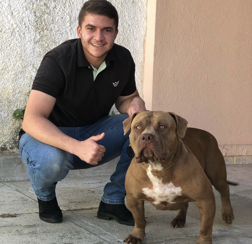 Photo of the dog