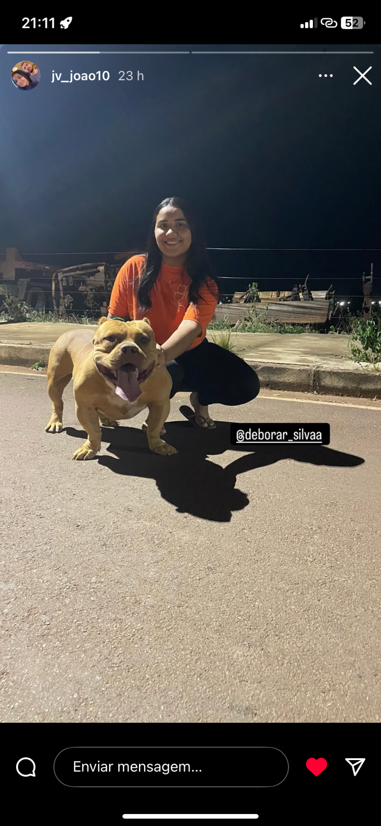 Photo of the dog