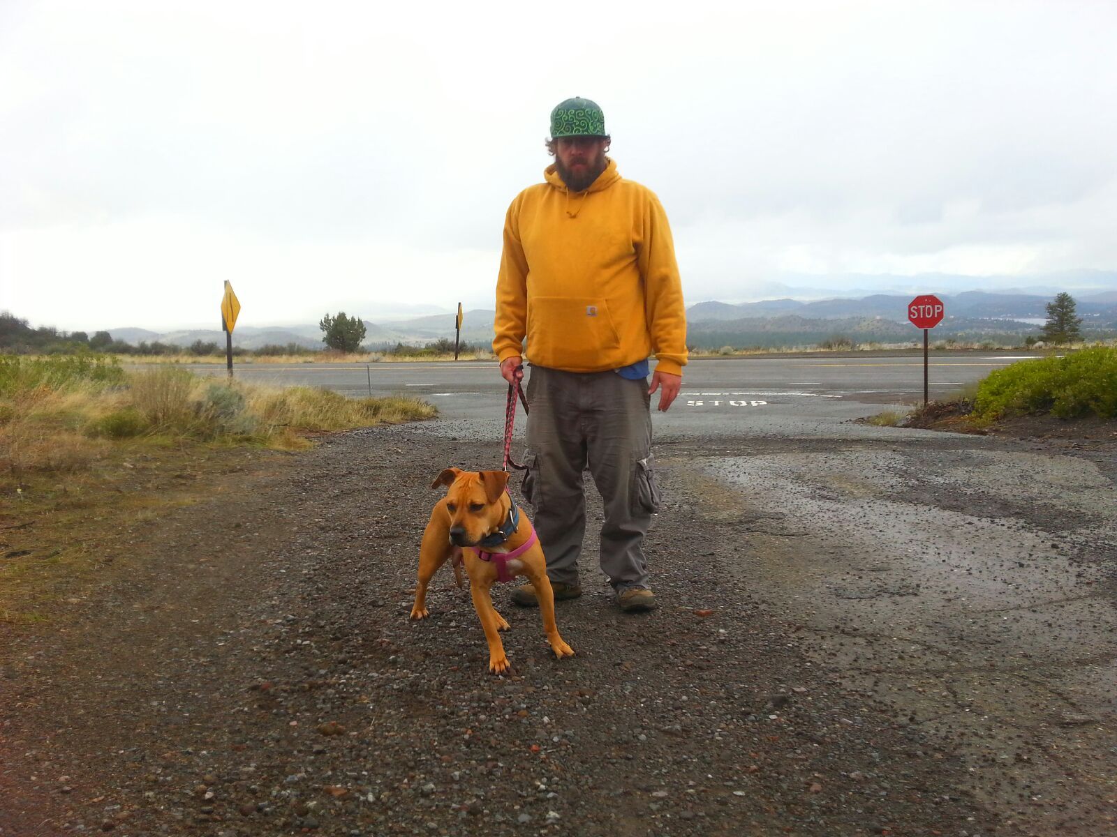 Photo of the dog