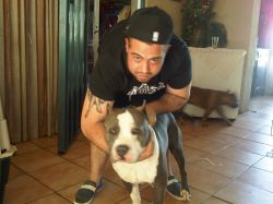 Photo of the dog