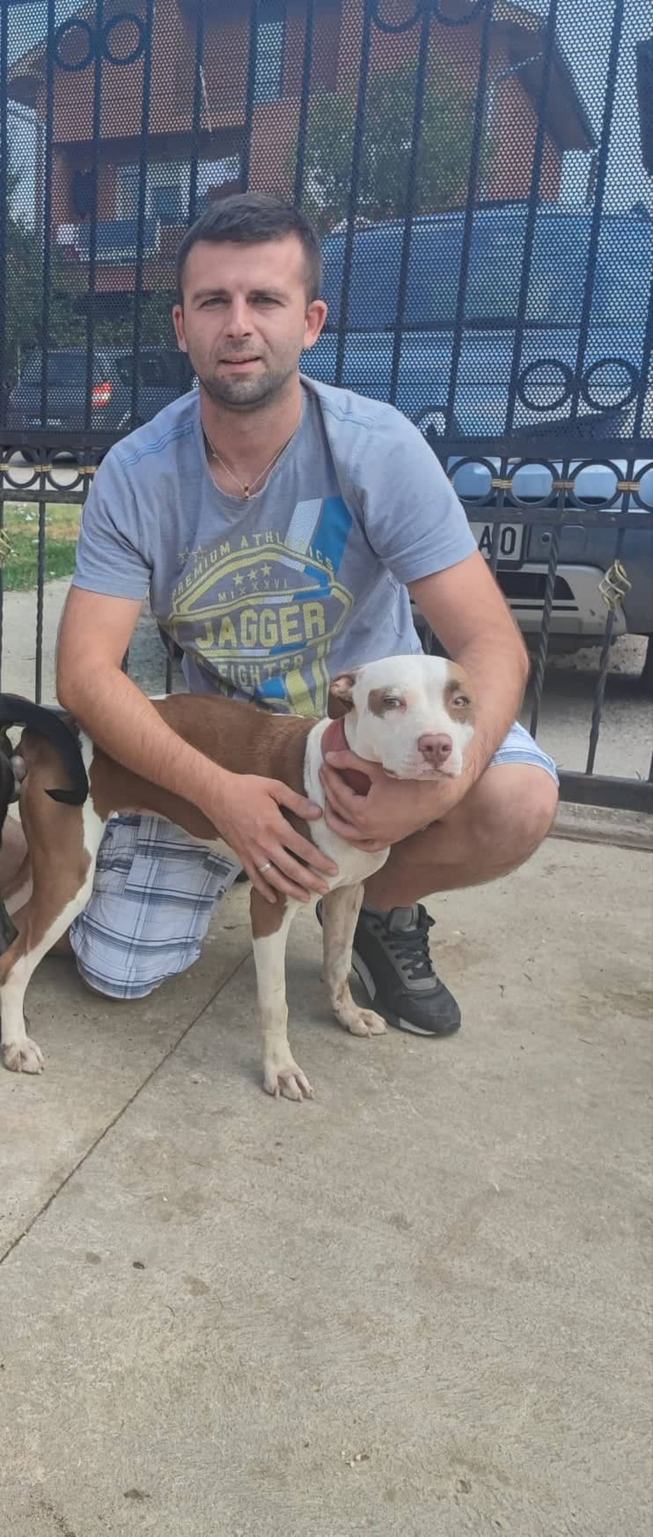 Photo of the dog