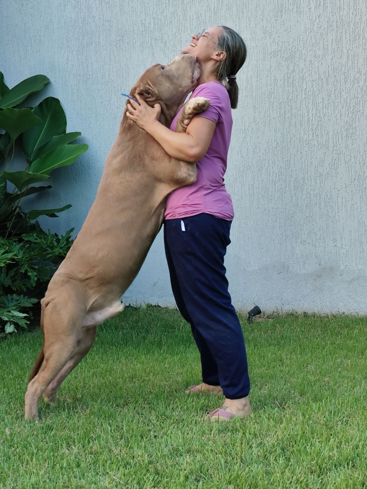 Photo of the dog