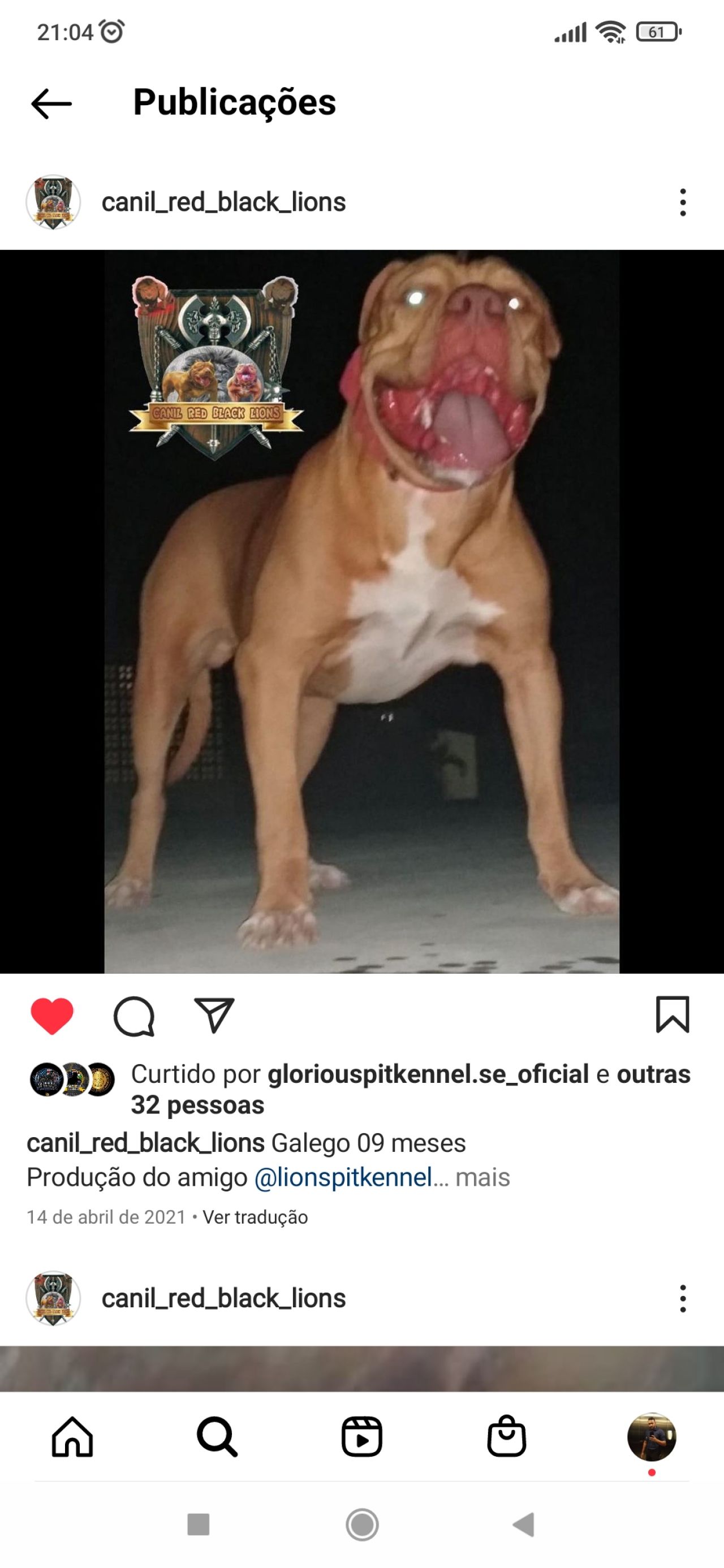 Photo of the dog