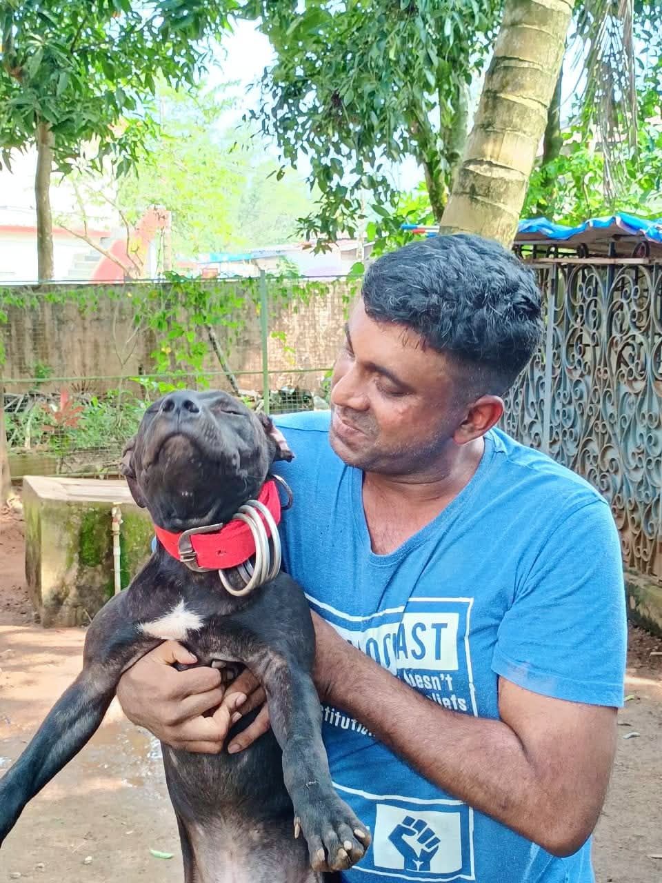 Photo of the dog